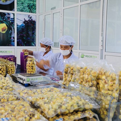 dong-goi-tra-hoa-vang-ba-che