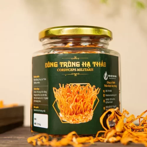 lo-dong-trung-ha-thao
